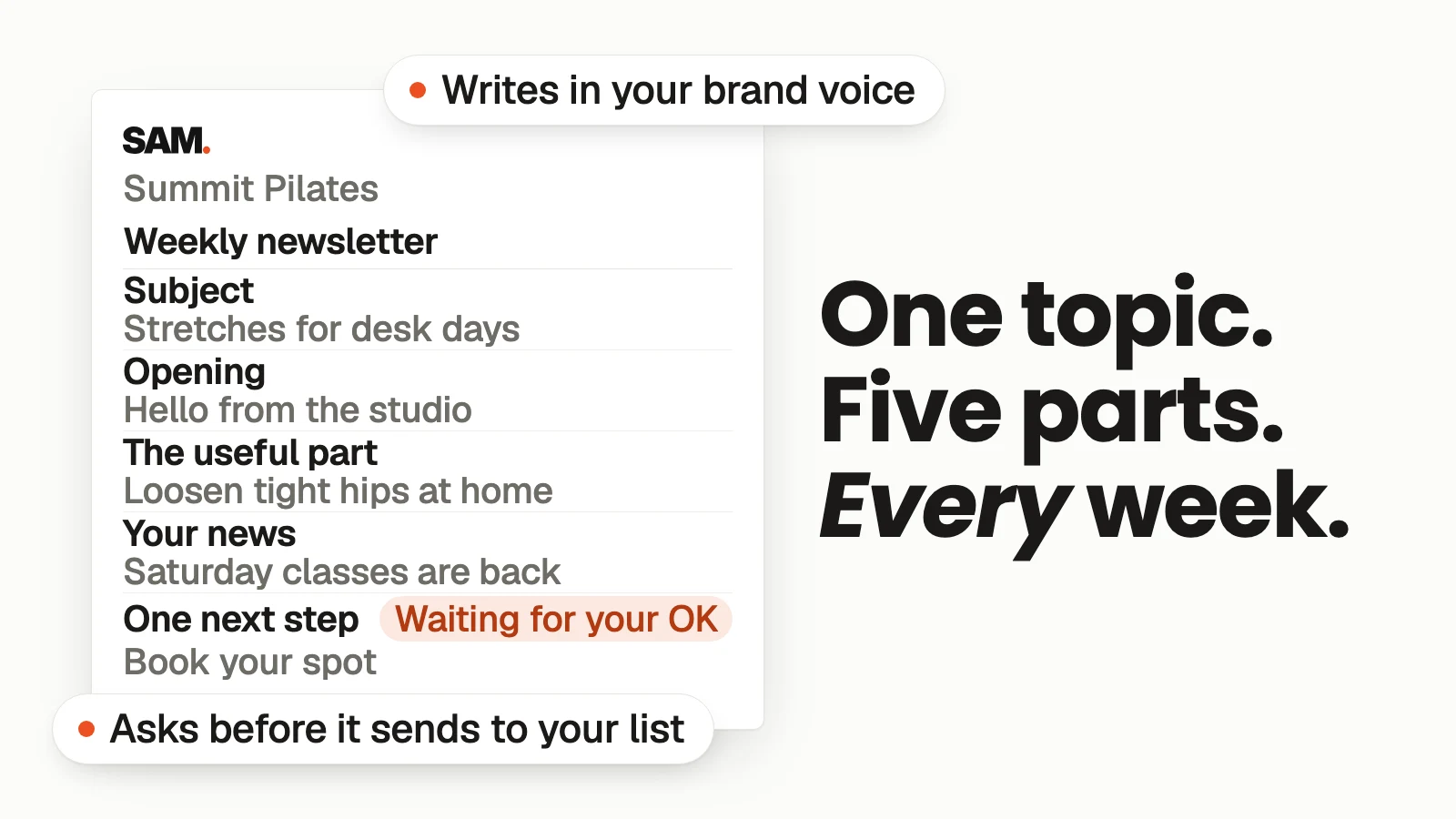 One topic. Five parts. Every week. A simplified SAM card labeled 'Weekly newsletter' with five rows: Subject, Opening, The useful part, Your news, One next step; the last row shows 'Waiting for your OK'.